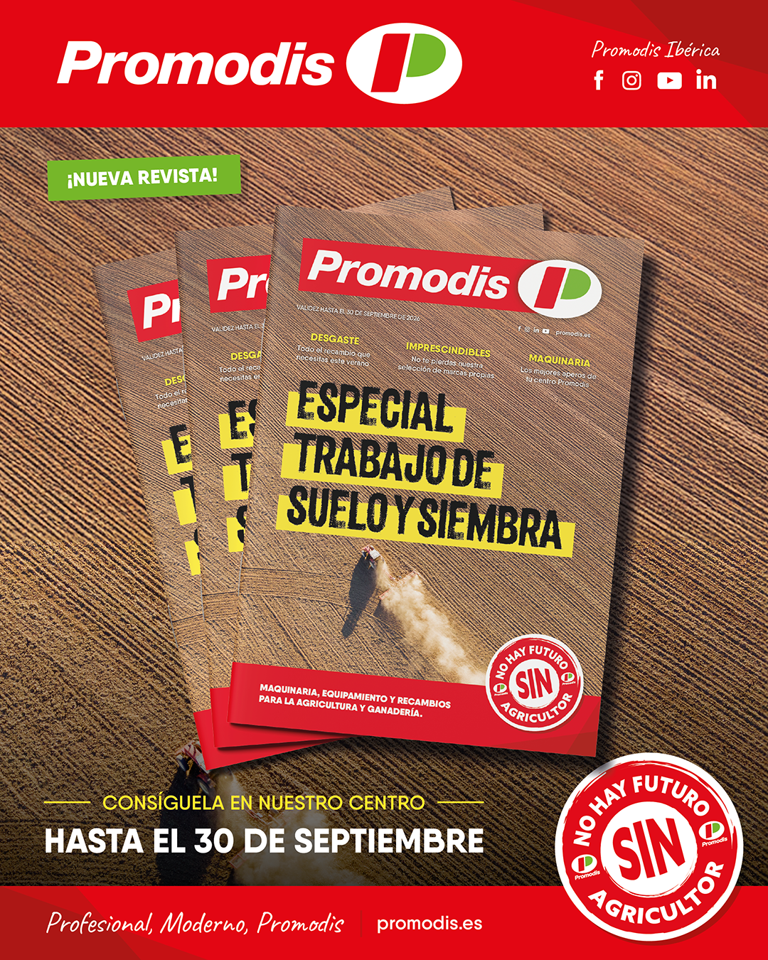 Revista de promociones Promodis